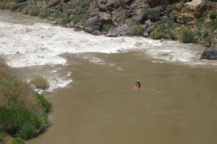 2011 stand-up-paddle-lava-rapid-drew-brophy-grand-canyon