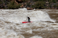 2011 sup-lava-rapid-drew-brophy-grand-canyon