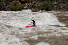 sup-lava-rapid-drew-brophy-grand-canyon