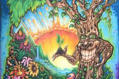 Happy_Tree_by_Drew_Brophy_30_x_40_mixed_media_on_canvas__10536.1566899075.285.365