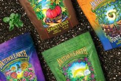 ecf812b7-cc01-417c-ae0d-4c455d449d81.__CR00300300_PT0_SX300_V1___