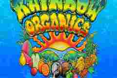 2008-new-rainbow-organics-logo-by-drew-brophy