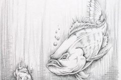 lost-clown-fish-drew-brophy