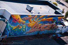 LULUS-CAFE-MURAL-by-Drew-Brophy-AERIAL-VIEW-photo-by-Gregory-Letts-SIZE-61-feet-by-16-feet